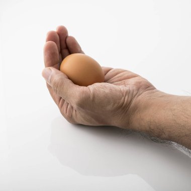 Bir insan elini tutarak kahverengi yumurta izole beyaz arka plan çekimde Studio, yakın çekim.