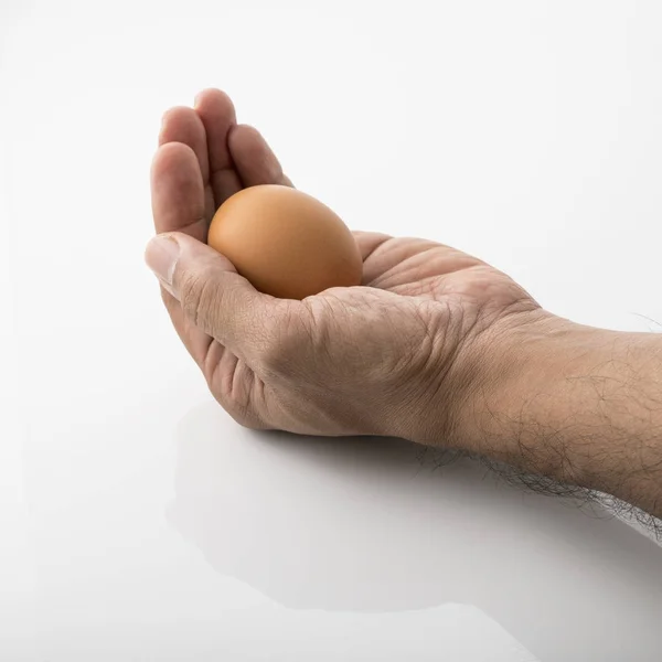 Close up of a Human Hand Holding  Brown Egg Isolated on White Background Shot in Studio.
