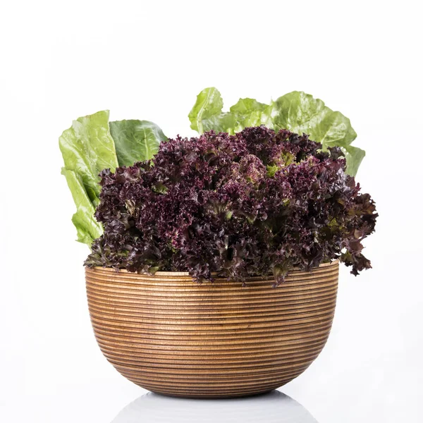 新鲜的红叶莴苣和绿色的莴苣 在白色背景下的棕色木碗中被隔离 — 图库照片