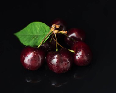 Cherry branch on a black background clipart