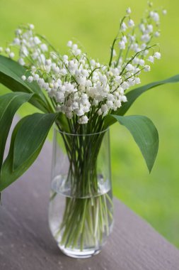 Şeffaf bir vazoda vadi zambakları buketi
