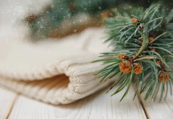 与绿枝和白色针织的帽子冬天组成 — 图库照片