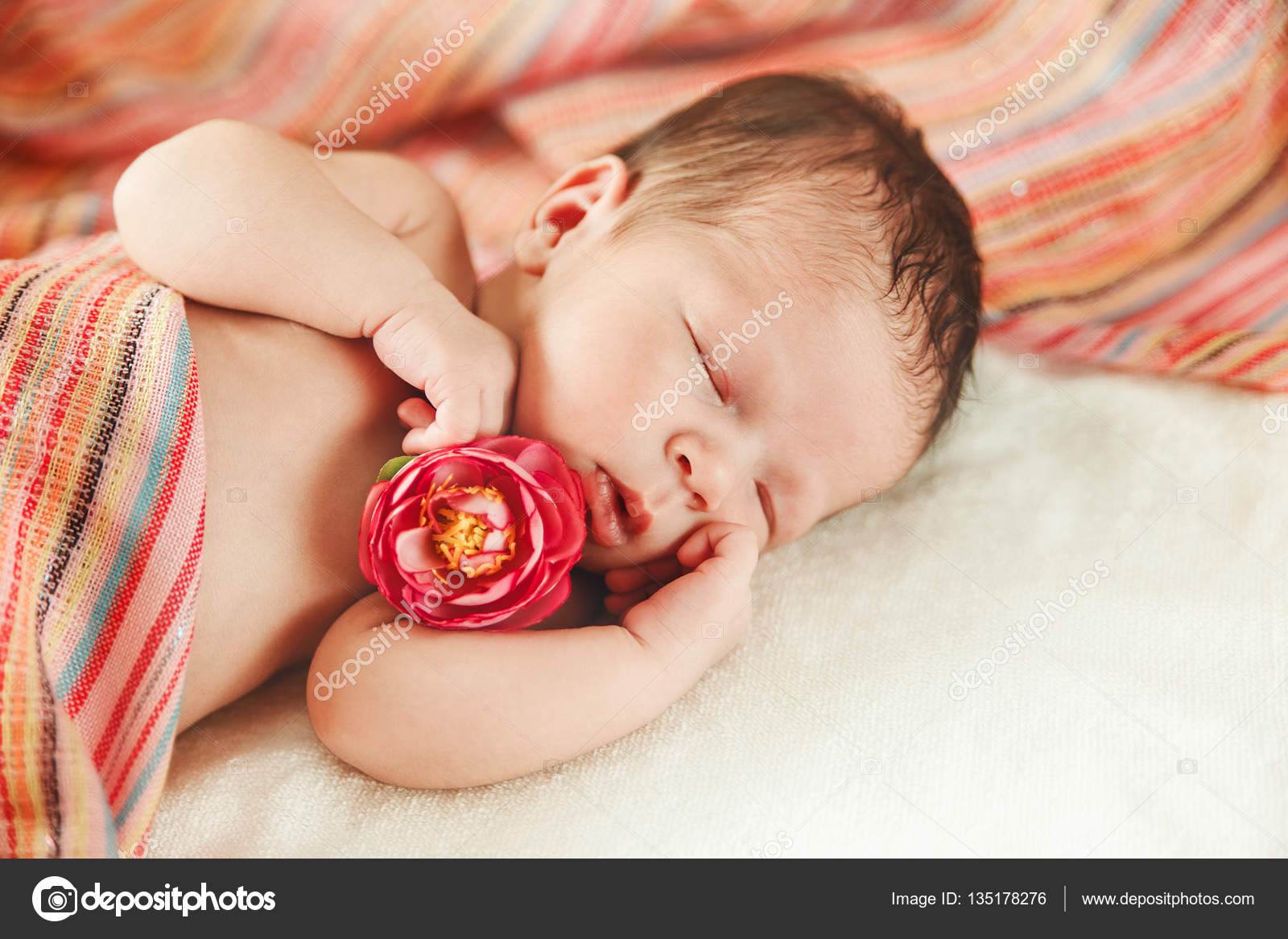The Cute Sleeping Newborn Baby Girl with Red Flower in Small