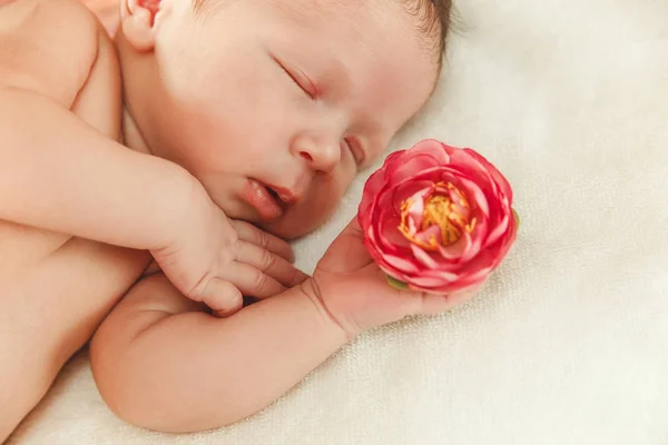 可爱睡新生女婴小碰手的花. — 图库照片