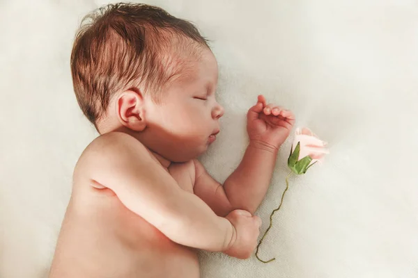 Gül küçük dokunmadan el ile şirin yeni doğan bebek kız.