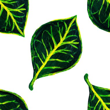 Yeşil kroton bitki Dikişsiz desen bırakır. El çiçek arka plan boyalı. İzole beyaz