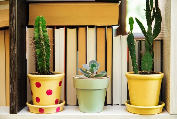 raf kitaplar tencere bitkiler ile Oda.