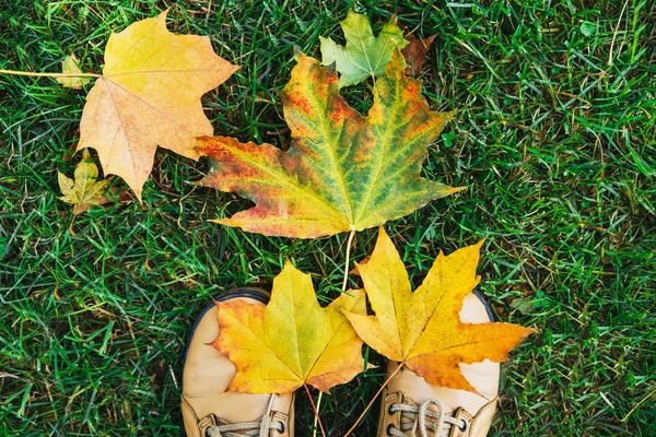 Żółte buty z jesiennych liści i trawy. Tle natura. Widok z góry. — Zdjęcie stockowe