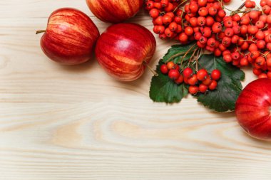 Elma ve rowan-berry.wooden arka plan ile sonbahar kompozisyon.