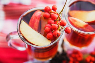 İçecek apple ve rowanberry ile gözlüklü. Sonbahar kompozisyon. Yakın çekim.