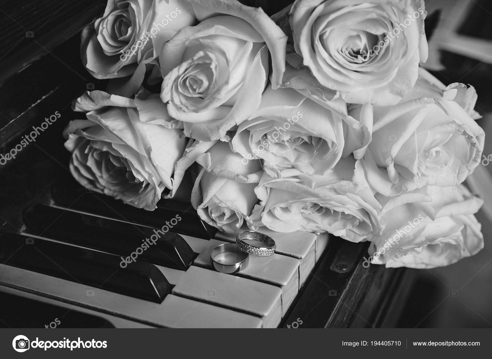 Wedding Rings With Roses On The Piano Celebration Concept Black And White Photo Stock Photo Image By C Evakid Wedding Rings With Roses On The Piano Celebration Concept Black And White Photo Stock Photo Image By C Evakid