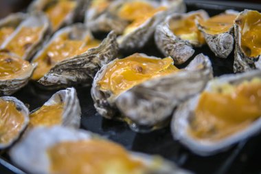 Krem soslu ve peynirli bir tavada istiridye. Bir tablo arkaplanına karşı