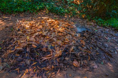 Cu Chi tüneli, Vietnam savaşının tarihi yeri, ordu yaşamak için yer altı kazıyor, şimdi de Vietnam 'ın Ho Chi Minh şehrinde gezdiği yer.