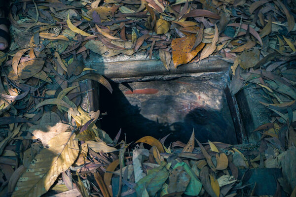 Cu Chi туннель, исторически известное место в войне во Вьетнаме, армия копать под землей выкопали для жизни, теперь это наследие назначения для Вьетнама путешествия в городе Хошимин
