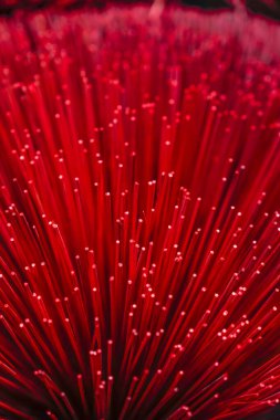 Geleneksel Vietnamca renkli tütsü çubuklarının yakın çekimi