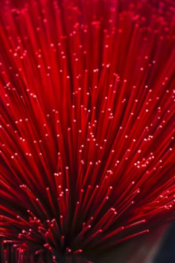 Geleneksel Vietnamca renkli tütsü çubuklarının yakın çekimi