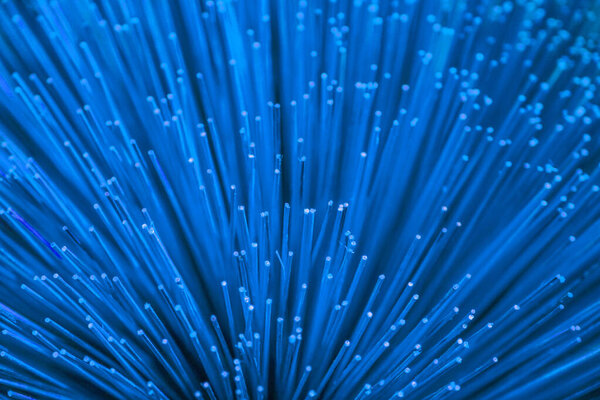 Blue color incense sticks texture background. Close-up of bundles of traditional Vietnamese colorful incense sticks