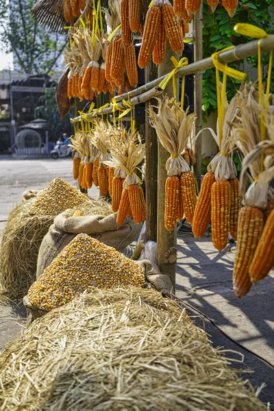 Shot of a row of dried corn hanging from a stall in Vietnam. Shot of a row of dried corn hanging from a stall in Vietnam