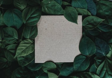 Çiçeklerden ve kağıt kartlı yapraklardan oluşan yaratıcı bir düzen. Düz yatıyordu. Kare çerçeve, yeşil yapraklardan yapılmış yaratıcı düzen. Reklam kartı ya da davetiye için boş. Doğa konsepti. Yaz posteri.