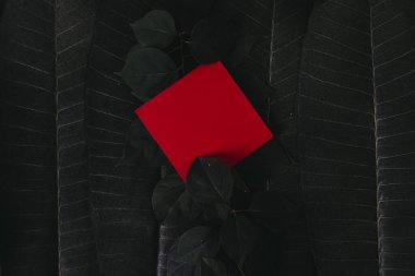 Çiçeklerden ve kağıt kartlı yapraklardan oluşan yaratıcı bir düzen. Düz yatıyordu. Kare çerçeve, yeşil yapraklardan yapılmış yaratıcı düzen. Reklam kartı ya da davetiye için boş. Doğa konsepti. Yaz posteri.