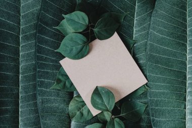 Çiçeklerden ve kağıt kartlı yapraklardan oluşan yaratıcı bir düzen. Düz yatıyordu. Kare çerçeve, yeşil yapraklardan yapılmış yaratıcı düzen. Reklam kartı ya da davetiye için boş. Doğa konsepti. Yaz posteri.