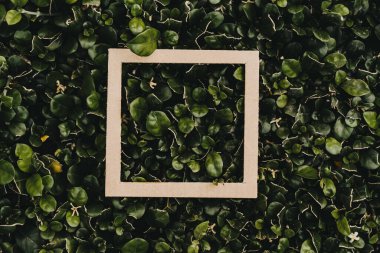 Çiçeklerden ve kağıt kartlı yapraklardan oluşan yaratıcı bir düzen. Düz yatıyordu. Kare çerçeve, yeşil yapraklardan yapılmış yaratıcı düzen. Reklam kartı ya da davetiye için boş. Doğa konsepti. Yaz posteri.