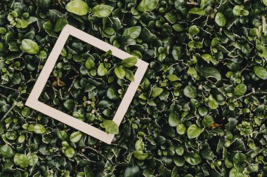 Çiçeklerden ve kağıt kartlı yapraklardan oluşan yaratıcı bir düzen. Düz yatıyordu. Kare çerçeve, yeşil yapraklardan yapılmış yaratıcı düzen. Reklam kartı ya da davetiye için boş. Doğa konsepti. Yaz posteri.