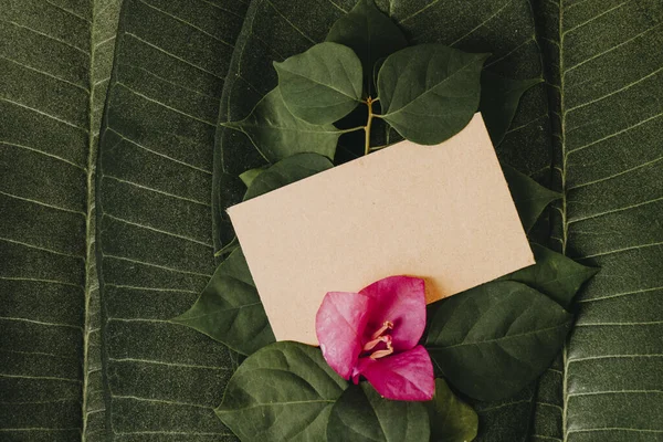 Creative layout made of flowers and leaves with paper card. Flat lay. Square frame, Creative layout made with green leaves background. Blank for advertising card or invitation. Nature concept. Summer poster.