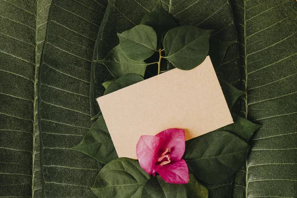 Kreatív Elrendezés Virágokból Levelekből Papírkártyával Lapos Fekvés Négyzet Alakú Keret — Stock Fotó