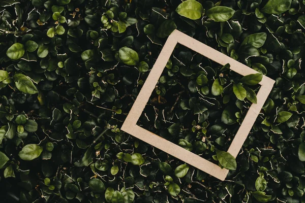 Creative layout made of flowers and leaves with paper card. Flat lay. Square frame, Creative layout made with green leaves background. Blank for advertising card or invitation. Nature concept. Summer poster.