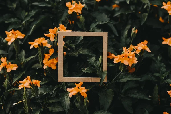 Creative layout made of flowers and leaves with paper card. Flat lay. Square frame, Creative layout made with green leaves background. Blank for advertising card or invitation. Nature concept. Summer poster.