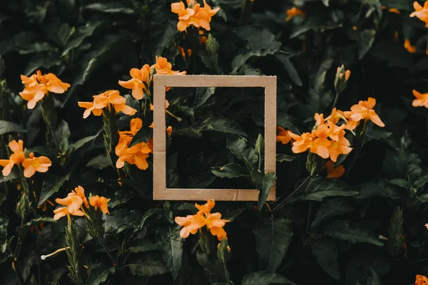 Creative layout made of flowers and leaves with paper card. Flat lay. Square frame, Creative layout made with green leaves background. Blank for advertising card or invitation. Nature concept. Summer poster.