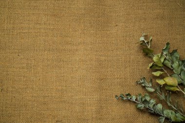 Eski çuval bezi üzerinde kurumuş sarı ve kırmızı gül yapraklarının üst görüntüsü. Romantik ve hüzünlü kavramsal geçmiş.