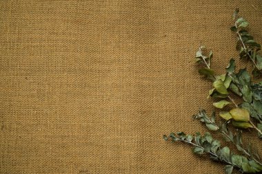 Eski çuval bezi üzerinde kurumuş sarı ve kırmızı gül yapraklarının üst görüntüsü. Romantik ve hüzünlü kavramsal geçmiş.