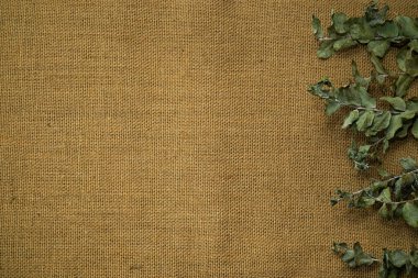 Eski çuval bezi üzerinde kurumuş sarı ve kırmızı gül yapraklarının üst görüntüsü. Romantik ve hüzünlü kavramsal geçmiş.