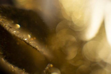 Bokeh 'in soyut altın arka planı. Arka planda tatil ışıkları. Bokeh odaklı ışıklar ve yıldızlarla şenlikli soyut arkaplan