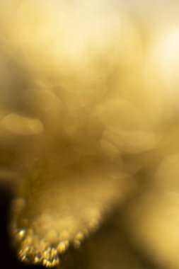 Bokeh 'in soyut altın arka planı. Arka planda tatil ışıkları. Bokeh odaklı ışıklar ve yıldızlarla şenlikli soyut arkaplan