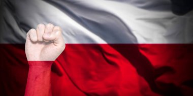 Polonya bayrağı erkek yumruğu, yumruk bayrağı, Polonya ülkesi, güç, çatışma konsepti üzerine boyanmış. Metnin için iyi bir yere sahip bulanık bir arkaplanda.