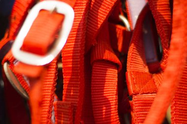 Turuncu evcil hayvan kemeri asılmış, kemer dokusu arkaplanı sığ alan derinliği.