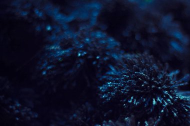 Siyah naylon desen makro lens bulanık arkaplan, sığ alan derinliği.