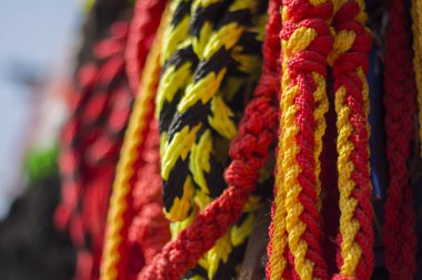 sarı siyah naylon ip, Hindistan, Tamilnadu 'daki sığır pazarında kırmızı iple birlikte asıldı.