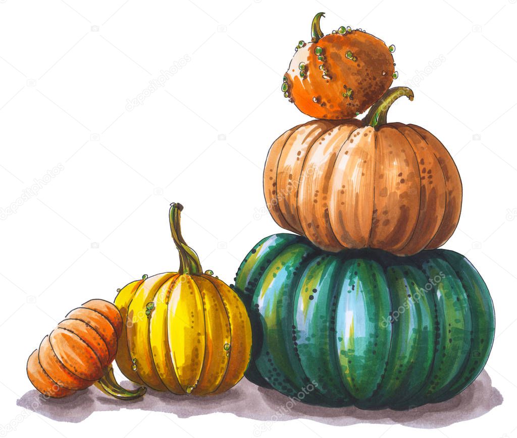 Multicolored pumpkins stacked on top of each other. Autumn harvest. Marker hand drawing picture.
