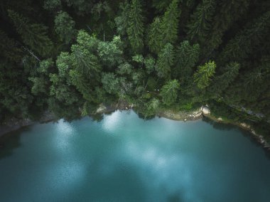 Mavi göllerin ve yeşil ormanların hava aracı görüntüsü. Güzel bir yaz manzarası. Romanya 'daki Ulusal Park