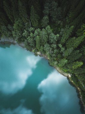 Mavi göllerin ve yeşil ormanların hava aracı görüntüsü. Güzel bir yaz manzarası. Romanya 'daki Ulusal Park