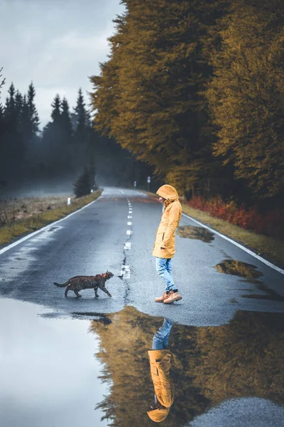 Photo Young Woman Her Cat Walking Each Other Beautiful Reflection — Stock Photo, Image