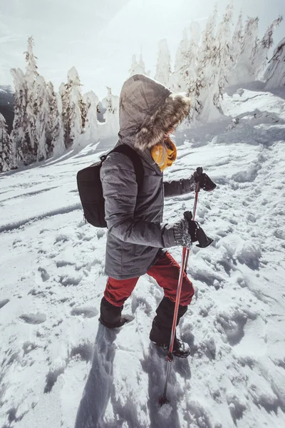 Mujer Está Haciendo Senderismo Las Montañas Nevadas Invierno Con Bastones — Foto de Stock