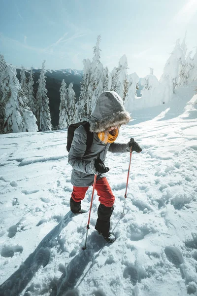 Donna Escursioni Montagne Invernali Innevate Con Bastoncini Trekking Uno Zaino — Foto Stock