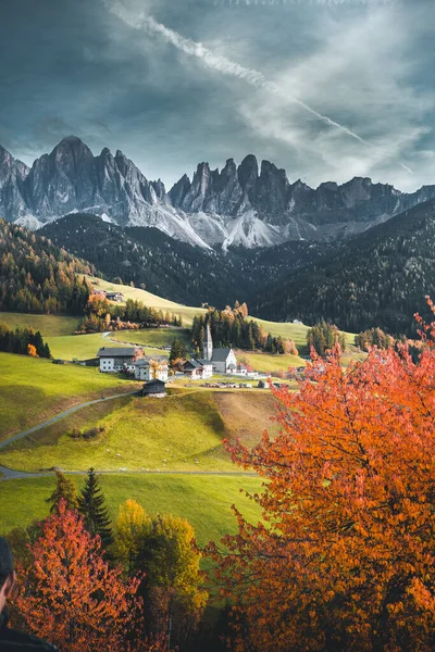 Odle Dağları 'nın eteklerindeki güzel sonbahar renkleri Dolomitler' de gün batımında Seceda Dağları 'nın arka planında Trentino Alto Adige, Val di Funes Valley, İtalya' da Güney Tyrol