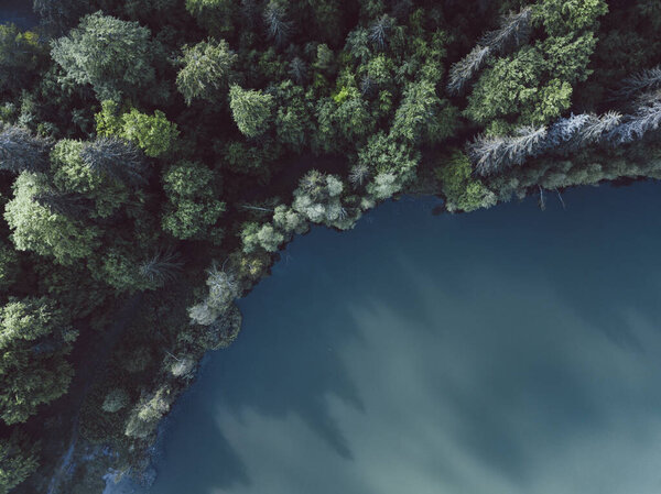 Outstanding Drone Shot Splendid View Forrest Lake — Stock Photo, Image