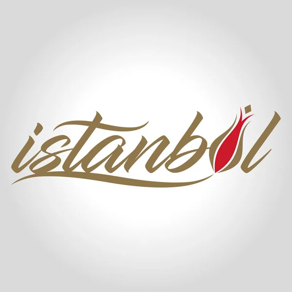 Logotipo de Estambul, icono e ilustración de vectores de símbolos — Vector de stock